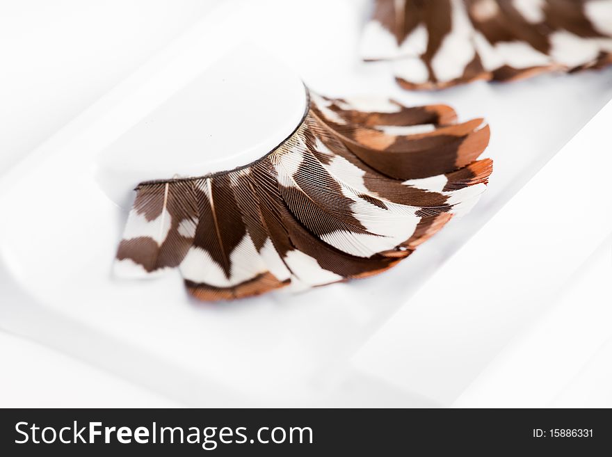 False eyelashes on white background