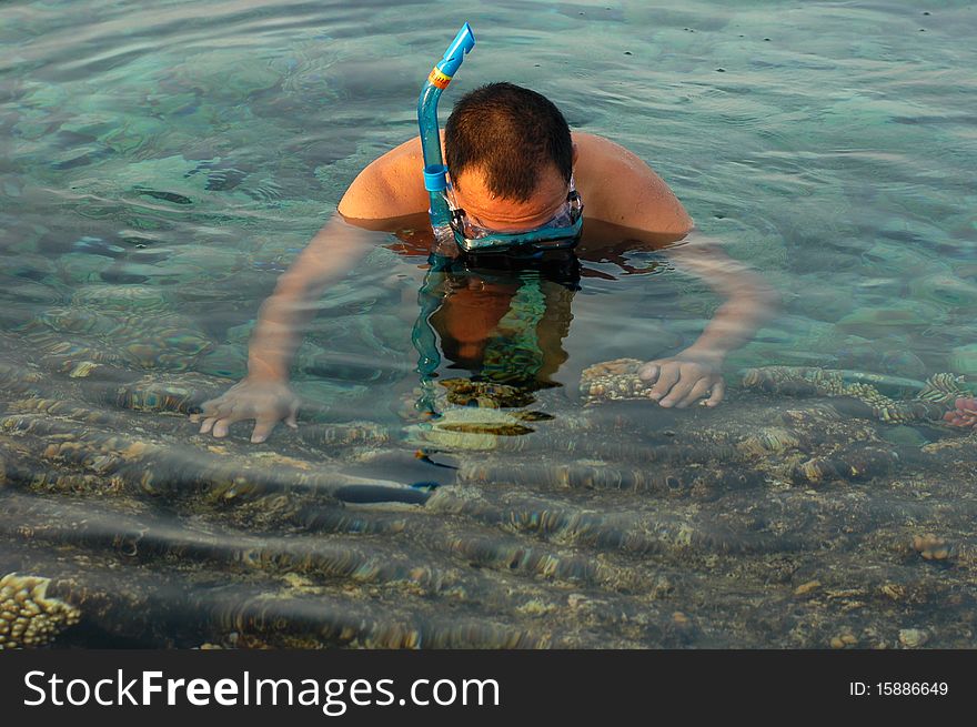 A man snorkeling in the sea