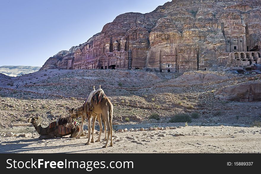 The cave town Petra in the Jordan rocks in the desert