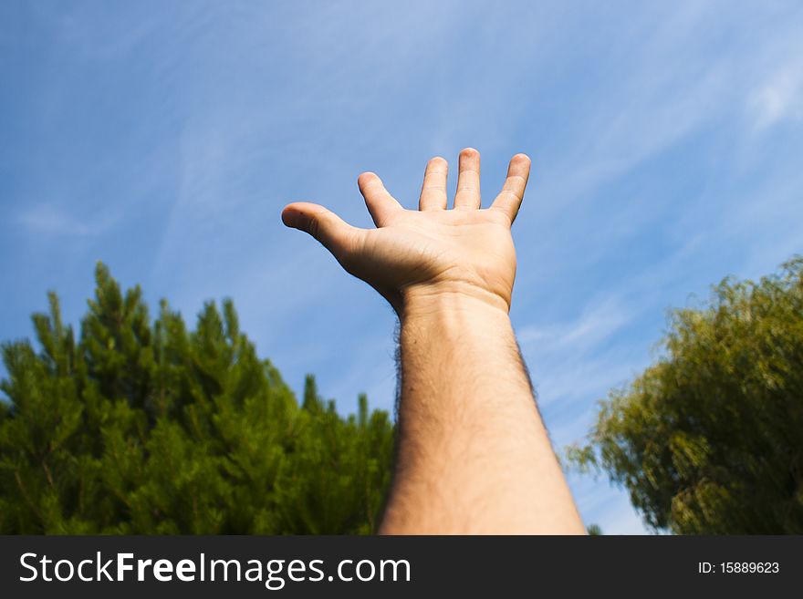 Male Hand Reaches Skyward