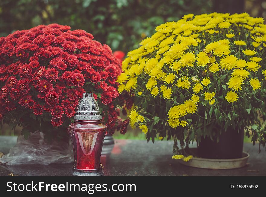 Tombstones decorated with colorful seasonal chrysanthemum flowers in cemetery during religious christian traditional autumnal event. Tombstones decorated with colorful seasonal chrysanthemum flowers in cemetery during religious christian traditional autumnal event