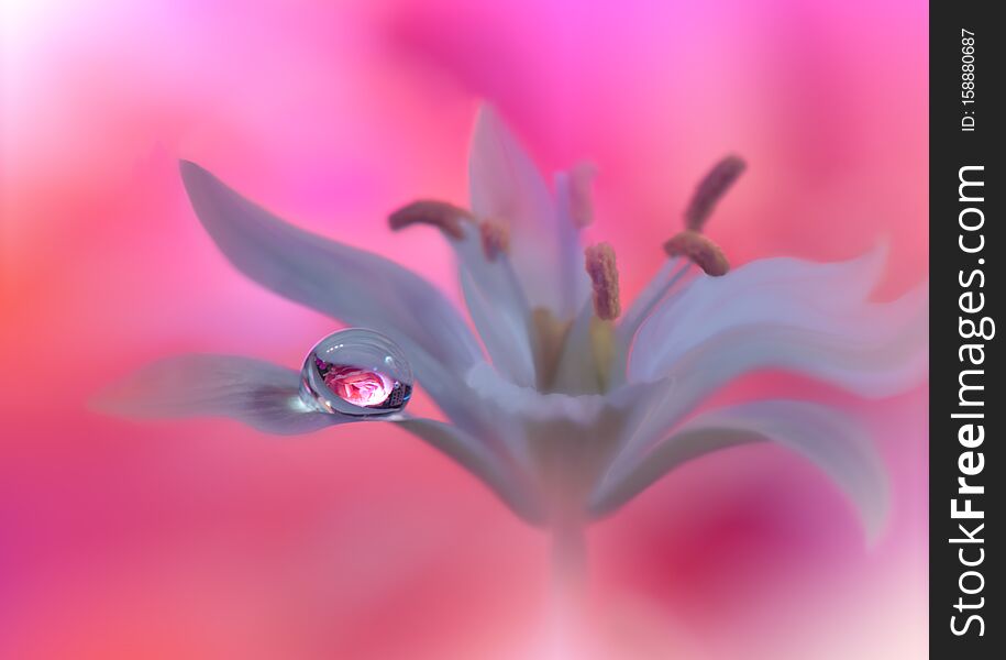 Beautiful Nature Background.Abstract Artistic Wallpaper.Macro Photography.Creative Amazing Floral Art Design.Water drop.Pink Color
