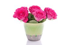 Pink Roses In A Modern Vase Royalty Free Stock Photo