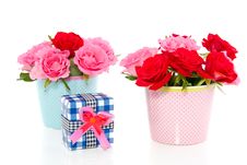 Red And Pink Roses With A Gift Royalty Free Stock Images