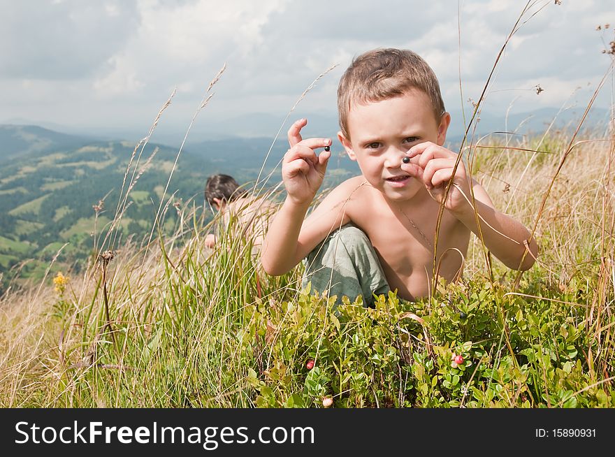 Boy picking blueberry on mountain hill