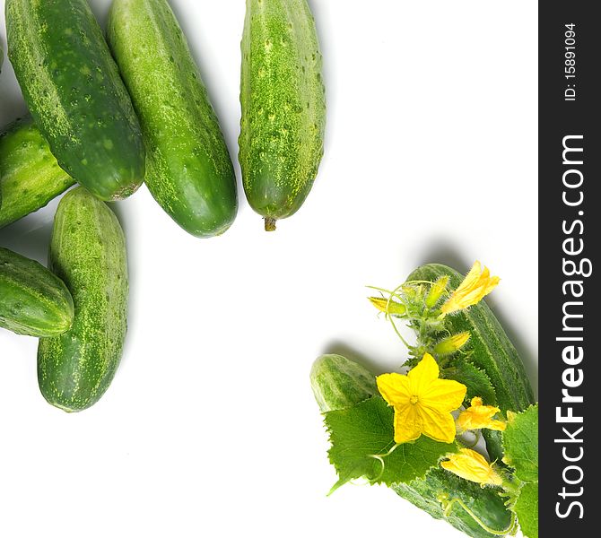 Green cucumbers with leaves and flower isolated on white