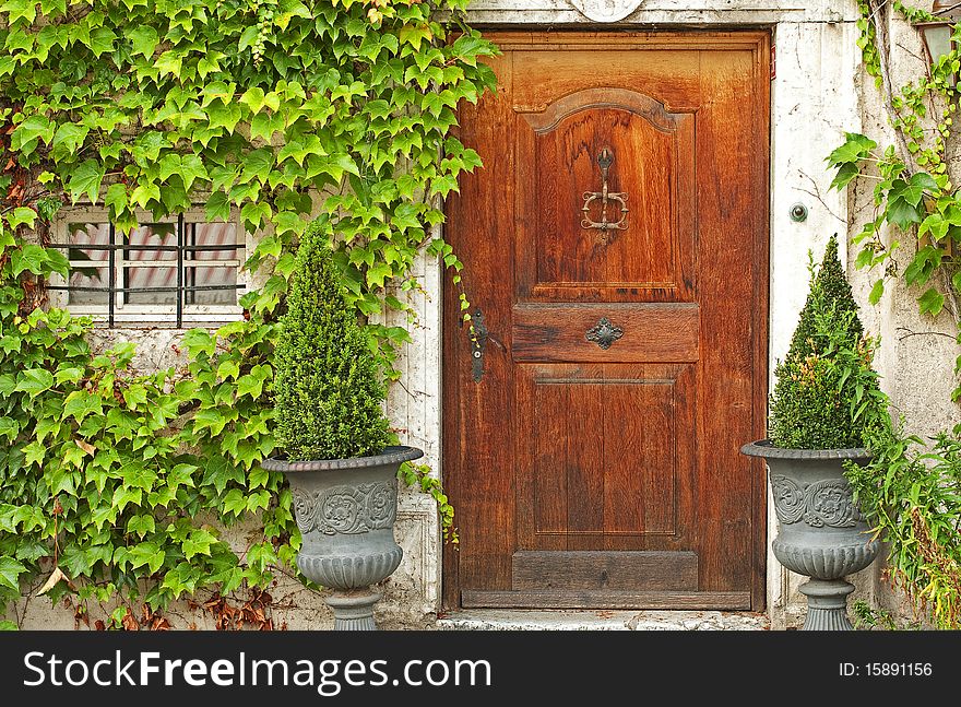 A wooden door and window covered with leaves