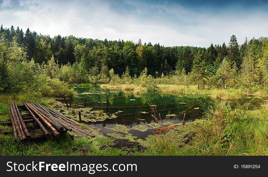 Clear mountain lake in forest