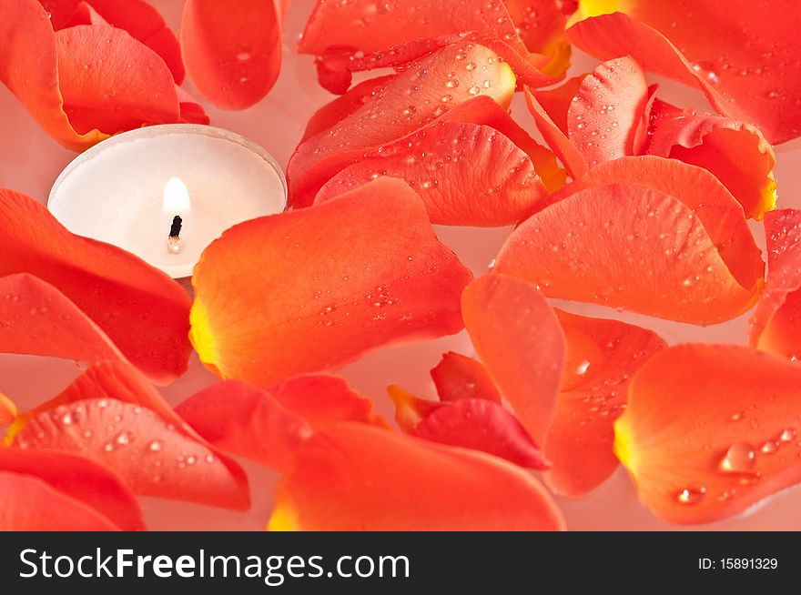 Candle and rose petals in water