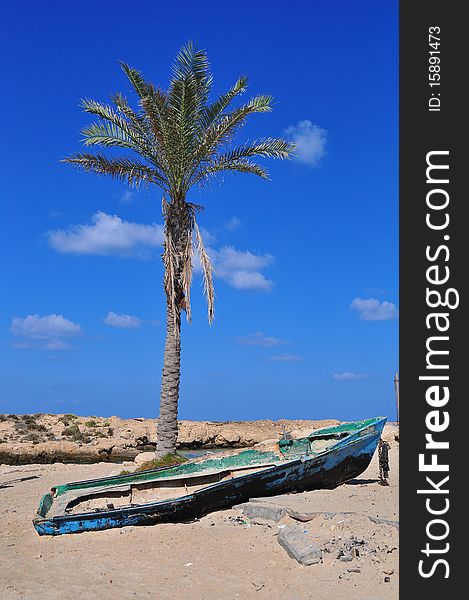 Fisherman boat on the sunny beach with green palm .