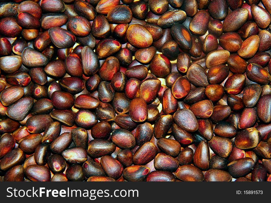 Little cedar nuts from Syberia