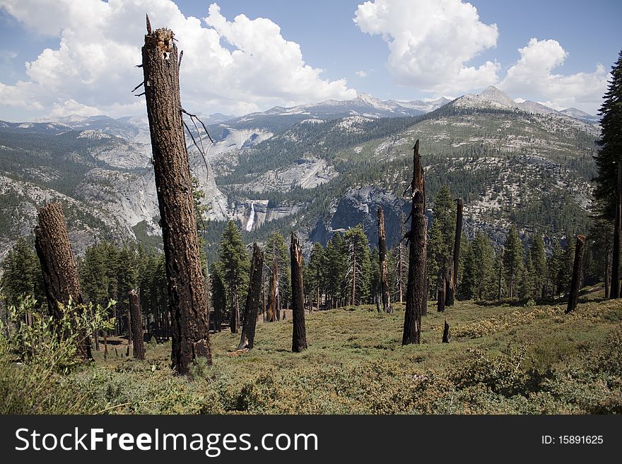 Half dome in Yosemite in the middle of summer.