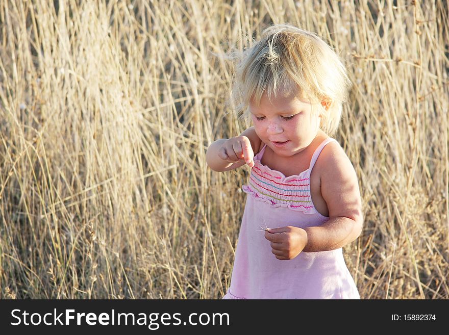 Toddler Girl In Yellow Field Grass