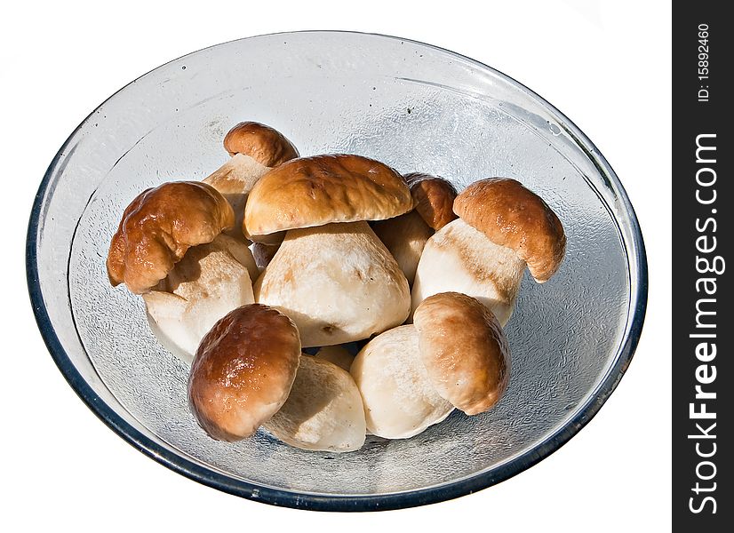 Mushrooms in a bowl on white background