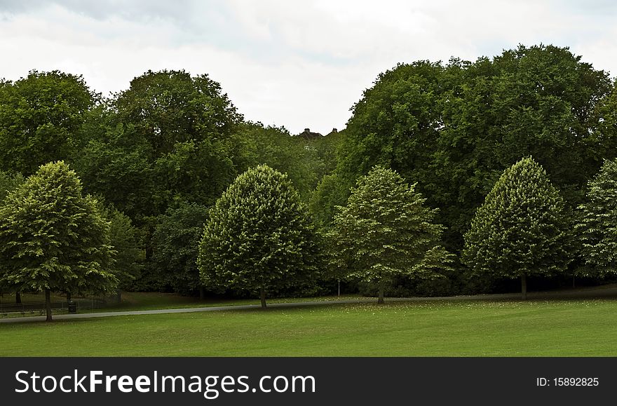 well tendered parkland in Hove, Sussex,England