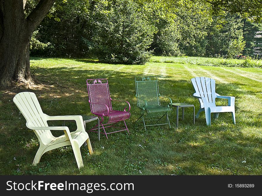 Lawn chairs lined up under large tree in a backyard