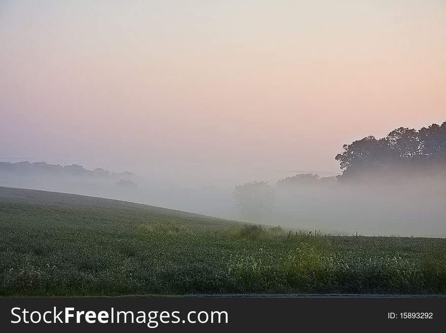 Early morning fog/mist rising with pinish hue in country