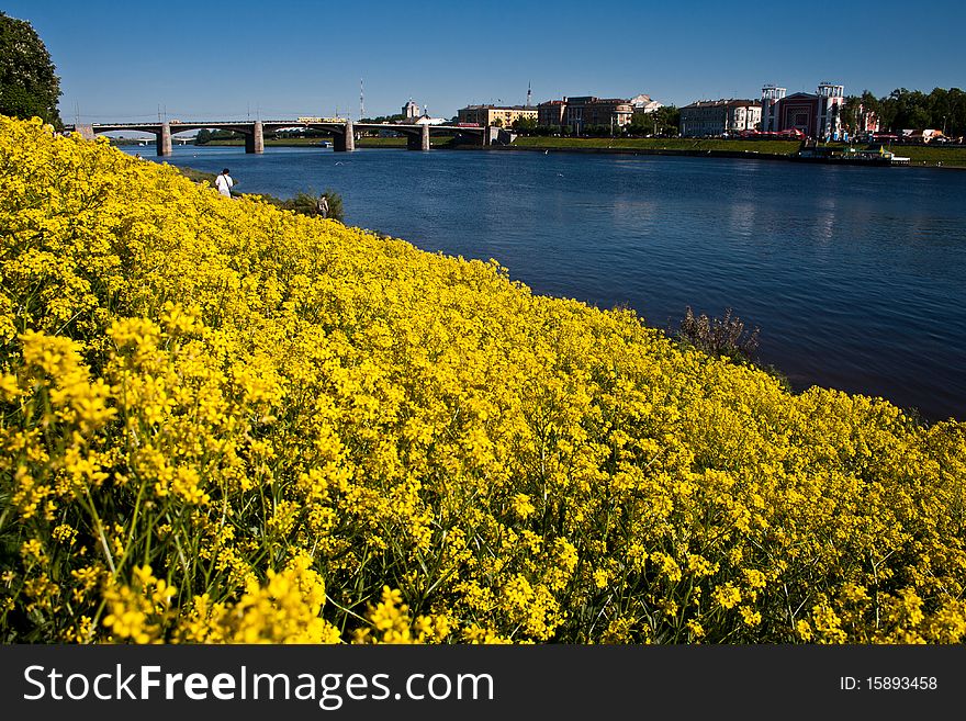 City landscape with yellow flowers. City landscape with yellow flowers