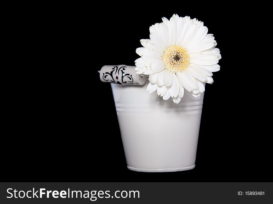 A white gerber daisie in a white flower pot against a black background