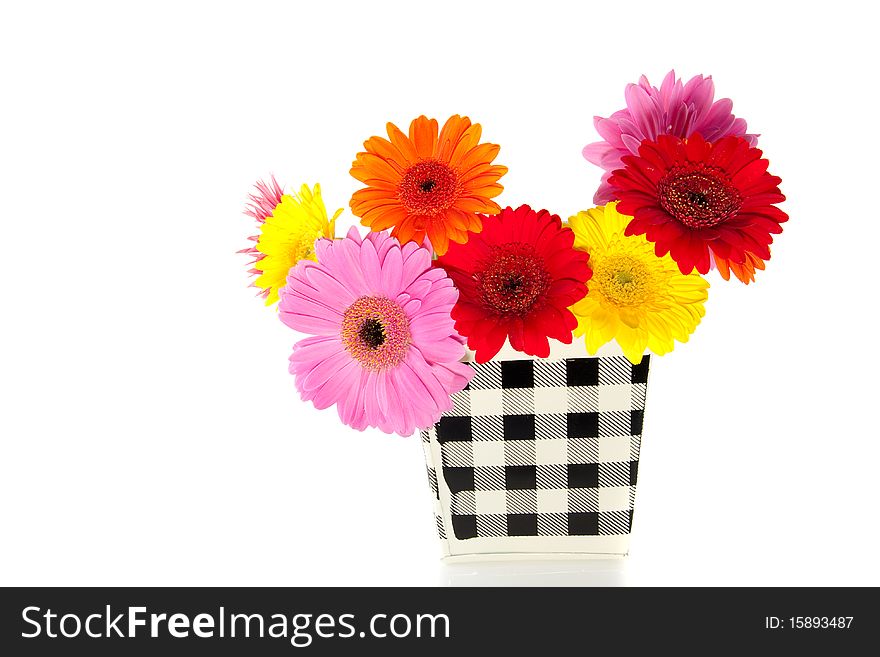 A colorful bouquet of gerber daisies in a checkered flower pot isolated over white. A colorful bouquet of gerber daisies in a checkered flower pot isolated over white