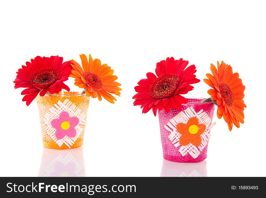 Red and orange gerbera daisies