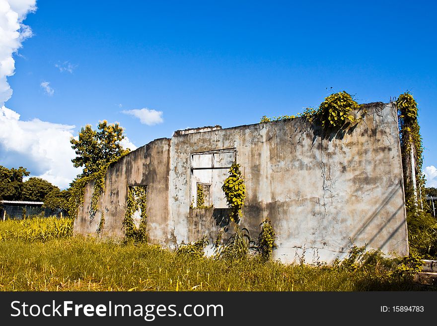 An old and rustic house surrounded with vegetation. An old and rustic house surrounded with vegetation