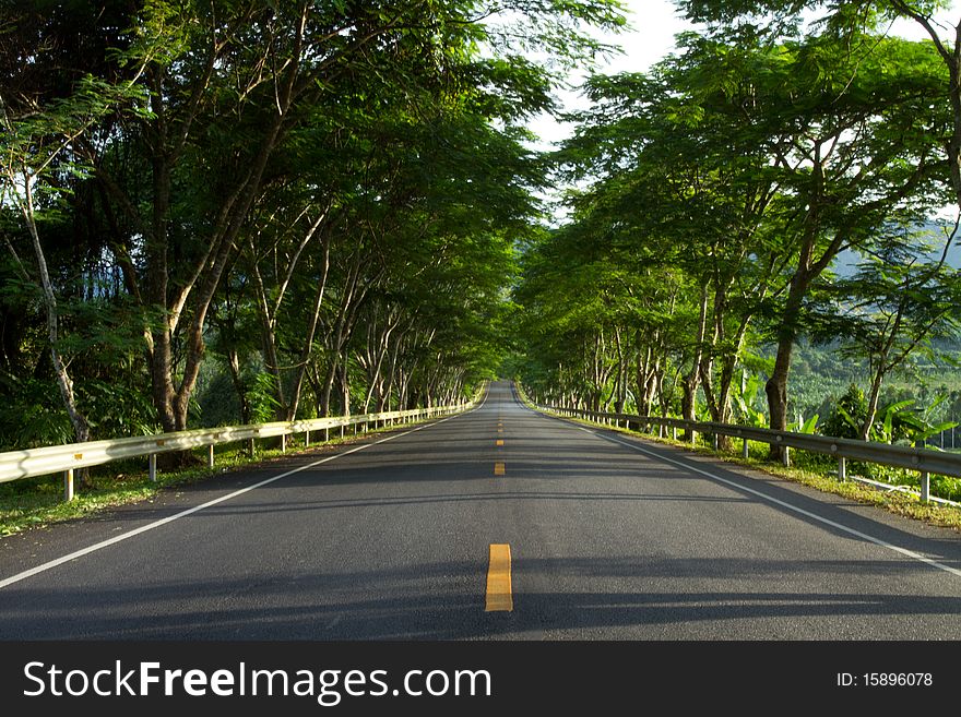 Road to green on themoutain