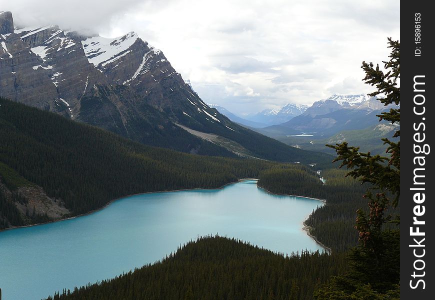 Peyto lake, fed by Peyto glacier, between the rocky mountains in Banff national park