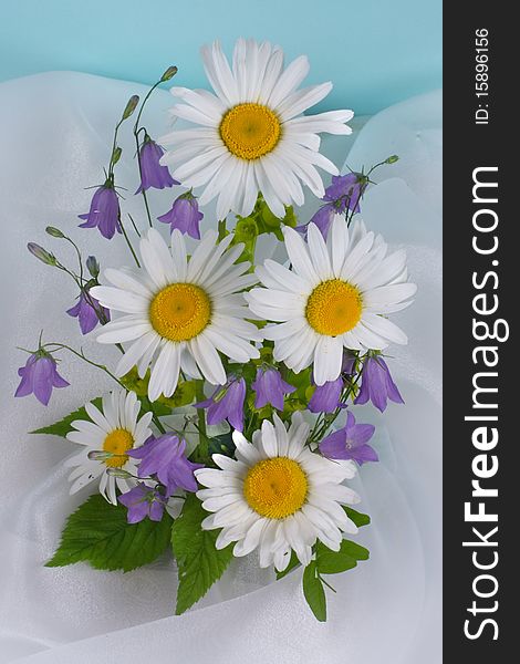 Bouquet with camomiles on a blue background