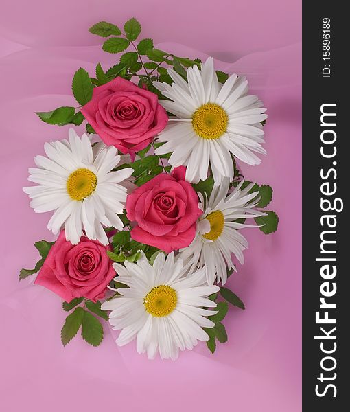 Bouquet with pink roses and camomiles. Bouquet with pink roses and camomiles