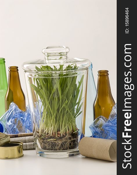 Grass growing in glass jar among household recycling items. White background. Grass growing in glass jar among household recycling items. White background.
