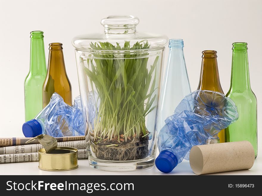 Grass growing in glass jar among household recycling items. White background. Grass growing in glass jar among household recycling items. White background.