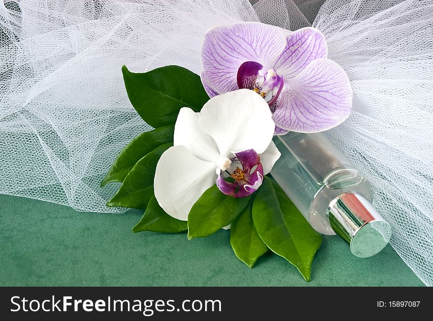 Little bottle of ointment with orchids on a green background. Little bottle of ointment with orchids on a green background