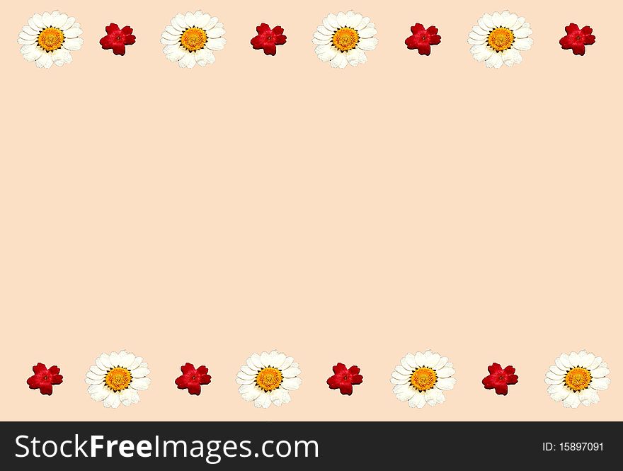 Beige background with flowers. Room for your text. Beige background with flowers. Room for your text.