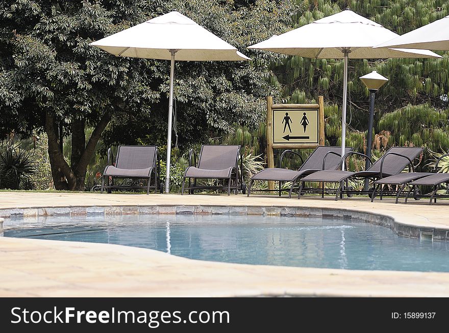 Sun chairs next to a swimming pool