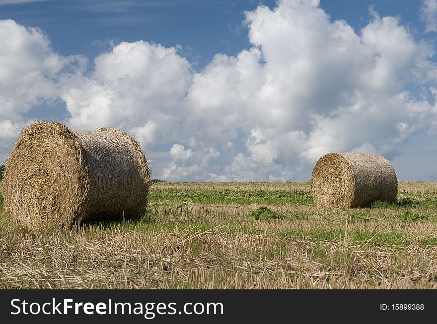 After harvesting straw is rolled up on fields. After harvesting straw is rolled up on fields