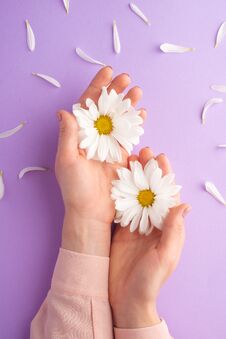 Flat Lay.Gentle Female Hands With White Delicate Flowers.art Photo, Top View, Vertical Photo Stock Photo