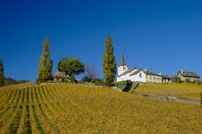 Village In The Vineyards Stock Photo Village In The Vineyards Stock Photo