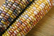 Indian Corn Stock Image