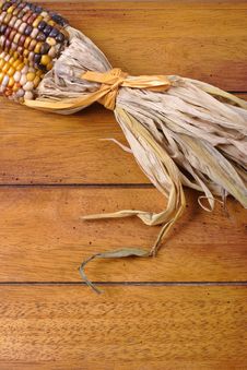 Indian Corn Royalty Free Stock Images