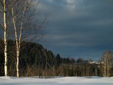 Winter-Birches In Snowy Meadow Stock Photography Winter-Birches In Snowy Meadow Stock Photography