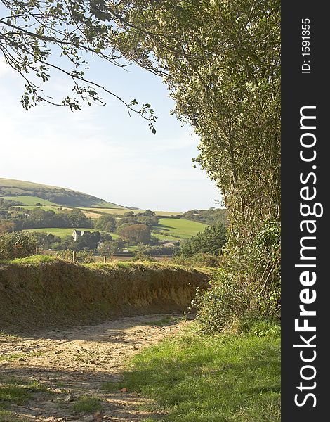 Countryside lane with view of fields beyond