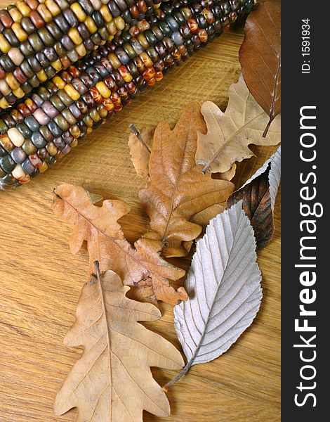 Indian Corn And Fall Leaves