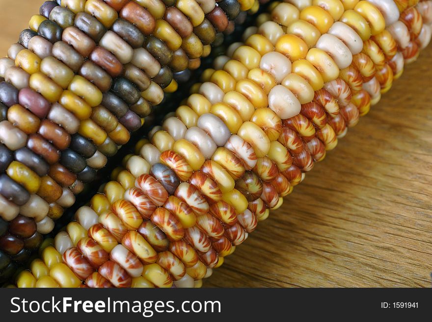 Indian corn, traditional American decoration