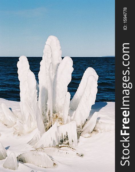 Frozen Grasses on Georgian Bay