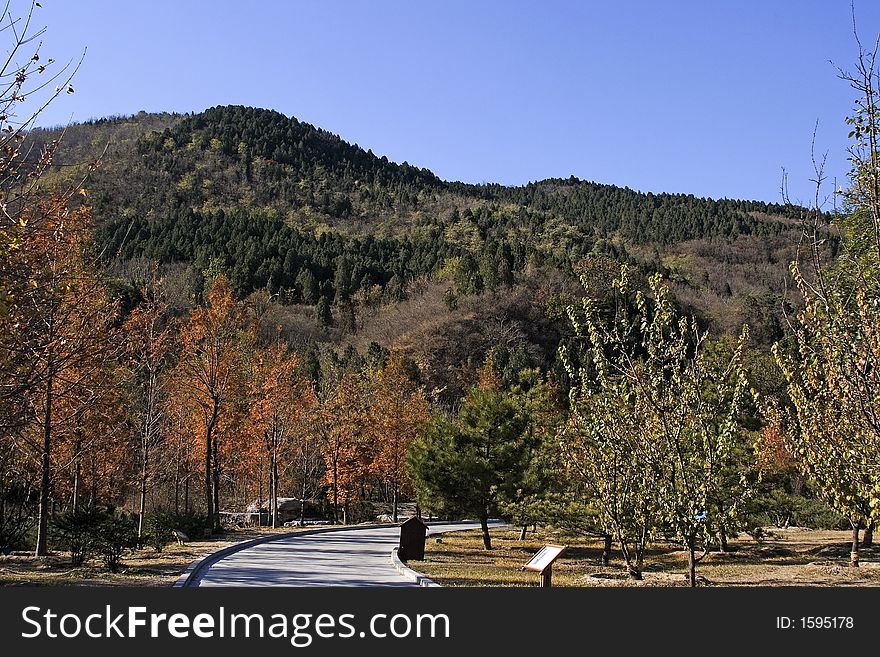 Botanical garden view during the autumn season.