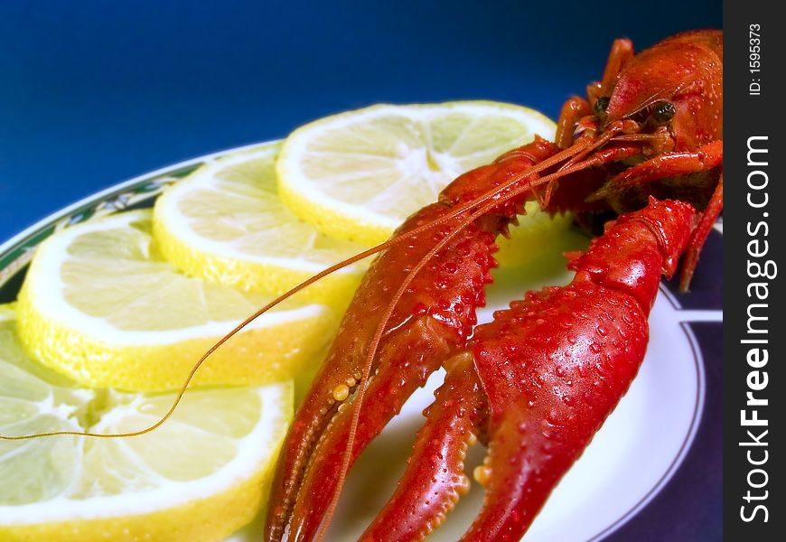 Red lobster and lemons  in the plate, blue background