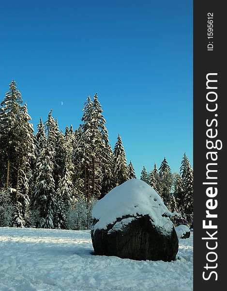 Snow field in north vancouver, british columbia