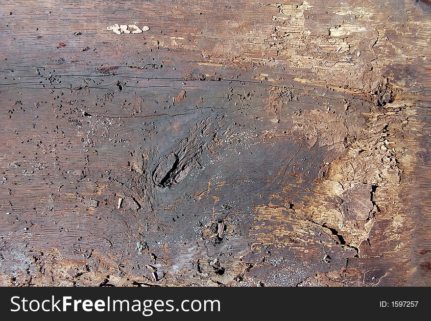 Part of very old wood door. Part of very old wood door