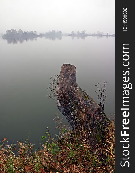 Fog on pond with remains of a tree in front of picture. Fog on pond with remains of a tree in front of picture